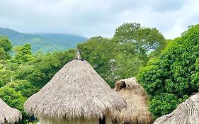 Ecocabanas Diosa Jaguar Tayrona